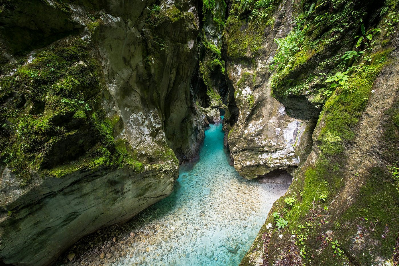 Tolminska korita, Tolmin