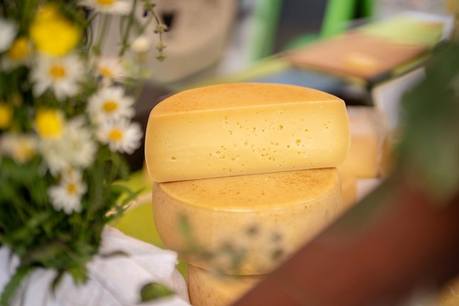 Jestival 2023 - Foto Ziga_Koren (25) (1).jpg Jestival_2023_-_Foto_Ziga_Koren__25___1_.jpg