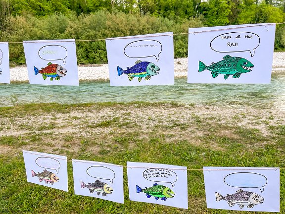 Tolminke valčkov šum - FeSP 2024 Tolminke-val__kov-__um-Foto-Andreja-Jurkovi__-3.jpg